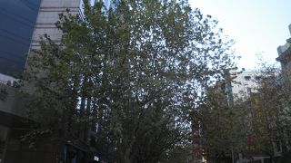 街歩きが楽しい南京東路