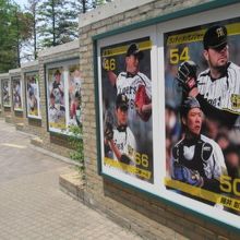 阪神の選手パネルもずらりと並んでいます