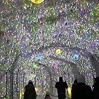 イルミネーション