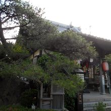 弘法堂と松の景観。