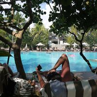 木陰でまったり