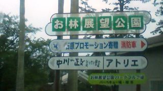 広々とした公園