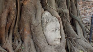 ワットプラマハタート