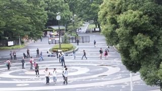 入口前では、相変わらずラジカセで音楽かけて踊ってる人がいるんですね