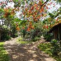 緑の中にあるコテージ