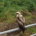 石垣島最高のビュースポット