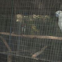 すぐそばにミニ動物園あり