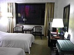 陝西 アビエーション ホテル (陝西航空大酒店) 写真