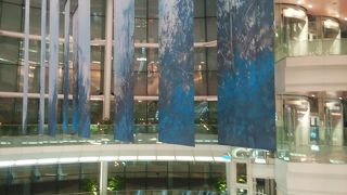 ターミナルも大きな鳥