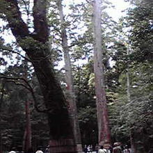 おかげ横丁から続く伊勢神宮参道