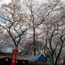 早朝ですから当然屋台は営業していません。