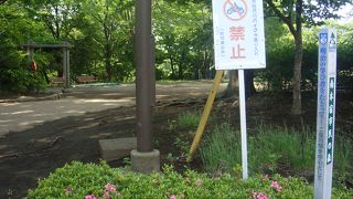 ホタルを鑑賞できます