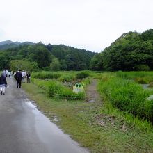 入場しての全景