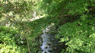 鶴ヶ峰ふれあいの樹林