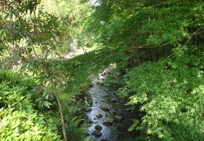 鶴ヶ峰ふれあいの樹林