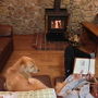 愛犬と楽しむ宿ですが、部屋に暖炉