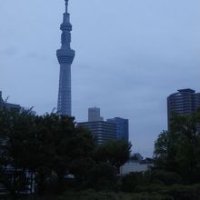 境内から東京スカイツリーが良く見えます
