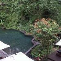 落ち着いた雰囲気