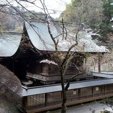 本殿・拝殿・透塀と桜。