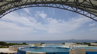 大人でも楽しめます