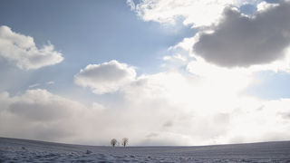 冬もまたよし。