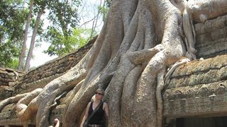 ガジュマルの食い込んだ遺跡