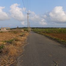 刈り取られてしまえばただの道