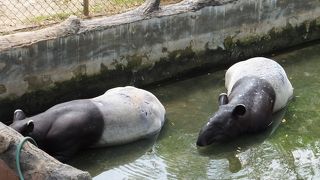 わざわざ行くほどのことはないけど、いい休憩場所にはなります