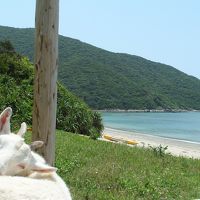 ホテルのマスコットガール、やぎ「梅子」