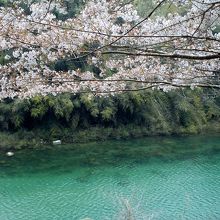 コバルトブルー色した奥矢作湖。