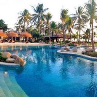 きれいな南国風のプール