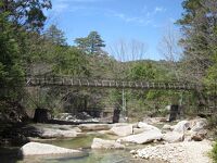 赤沢自然休養林