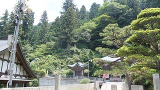 西条駅からバスを乗り継いで気軽に行けます。