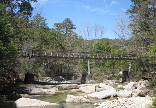 赤沢自然休養林