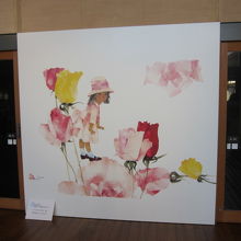 写真を写しても良いエリアもあります。