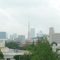 部屋からの景色　東京タワー方面