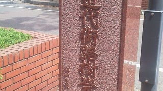 馬車道を散策して「近代街路樹発祥の地」～関内～