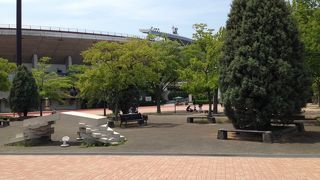  Take Me Out to the Ball Game！ まさにその感覚