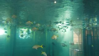 博多ふ頭にあります