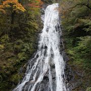 埼玉県唯一の１００名滝