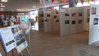 JICA横浜のスポットと同じ