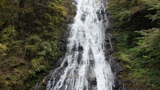 埼玉県唯一の１００名滝