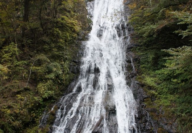 埼玉県唯一の１００名滝