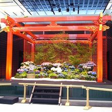 今回は、中心部に藤の花が飾られていました。