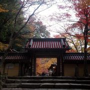 臨済宗永源寺派大本山、鐘楼から含空院までのお庭は凄すぎ！