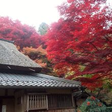 書院入口と紅葉の景観。