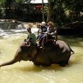 象乗りと滝遊び
