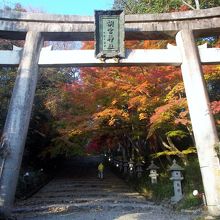 表参道入口の大きな石鳥居です。