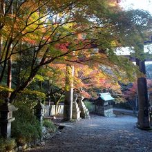 石鳥居と紅葉の景観。