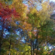 参道からしてこの美しさ。ため息が洩れてしまいます。